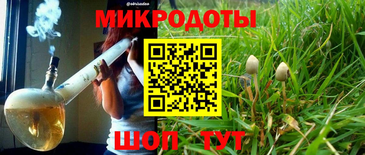 Галлюциногенные грибы Magic Shrooms Санкт-Петербург